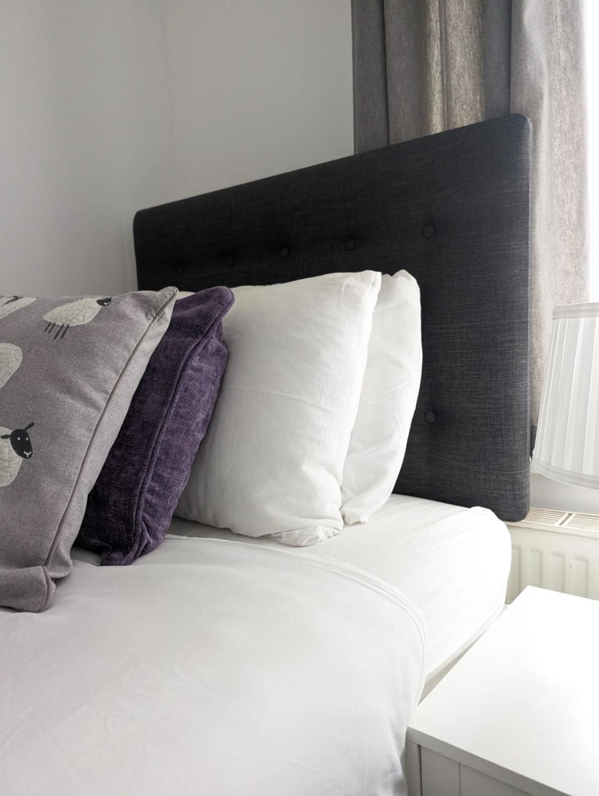 3br-st Johns Hse-free Parking-workers-kitchen-wifi-dog Friendly Apartment